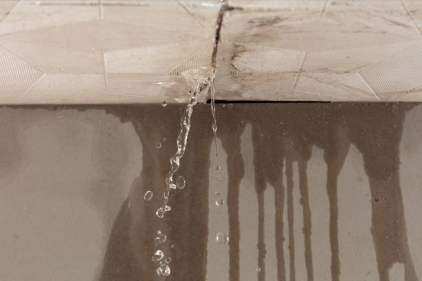 Professional Sewage Cleanup technician working in Red Cliff, CO